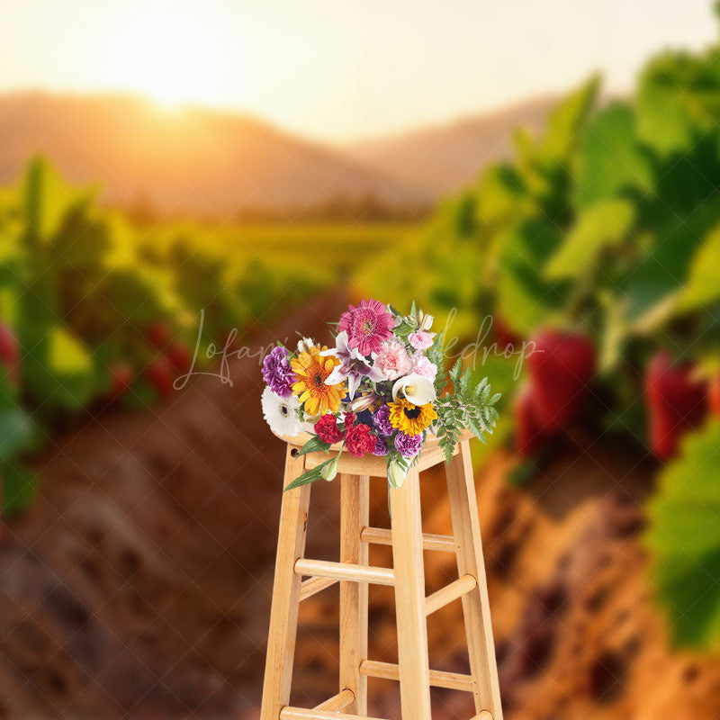 Lofaris Strawberry Orchard Sunset Sweet Warm Winter Backdrop
