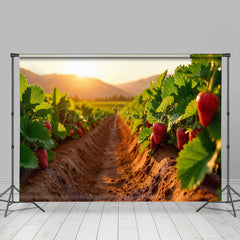 Lofaris Strawberry Orchard Sunset Sweet Warm Winter Backdrop