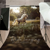 Lofaris Summer Sunlight Grassland Sunny Pony Sweep Backdrop