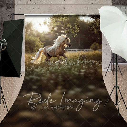 Lofaris Summer Sunlight Grassland Sunny Pony Sweep Backdrop