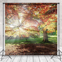 Lofaris Sunlight Maple Forest Autumn Photo Room Set Backdrop