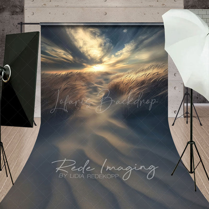 Lofaris Sunset Sky Beach Dusk Wheat Field Sweep Backdrop