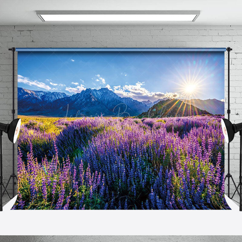 Lofaris Tranquil Lavender Field Mountains Sunrise Backdrop
