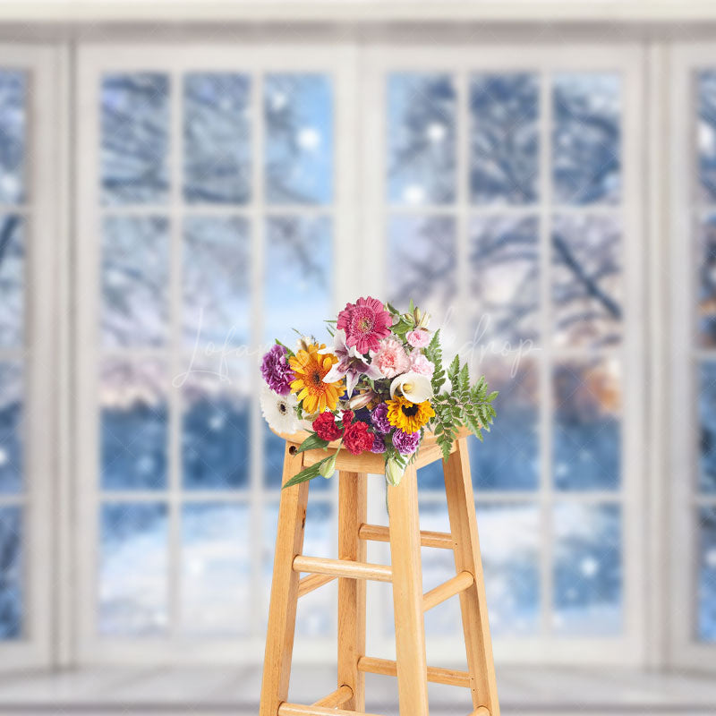 Lofaris Tranquil Winter Landscape Frost Windowpane Backdrop