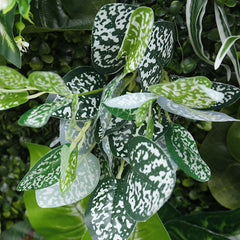 Lofaris Tribal Greenery Artificial Flower Wall For Wedding