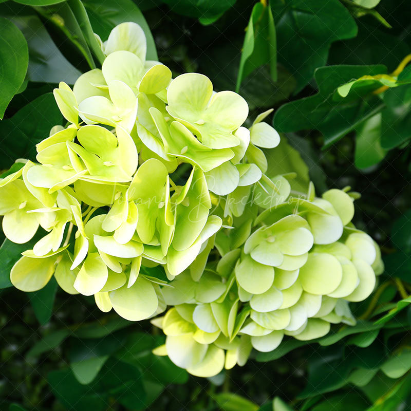 Lofaris Tropical Monstera Plant Artificial Floral Wall For Decor