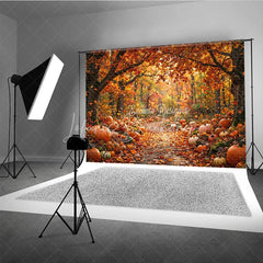 Lofaris Vibrant Orange and Red Autumn Forest Path Photography Backdrop Rustic Pumpkins Fall Leaves Harvest Season Decor