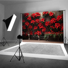 Lofaris Vintage Christmas Wall Photography Backdrop Red Poinsettia Flowers on a Moody Holiday Studio Photo Prop