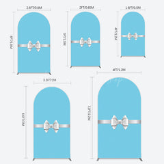 Lofaris White Bow Tiffany Blue Birthday Arch Backdrop