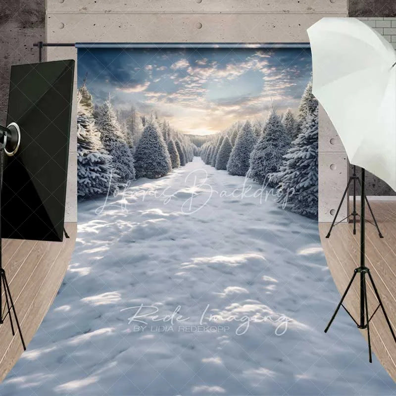 Lofaris Winter Forest Path Sweep Backdrop Snowy Pine Trees Sunset Sky Nature Floor Photo Background