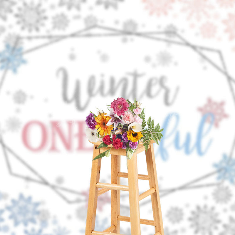 Lofaris Winter One Derland Pink Blue Gender Reveal Backdrop