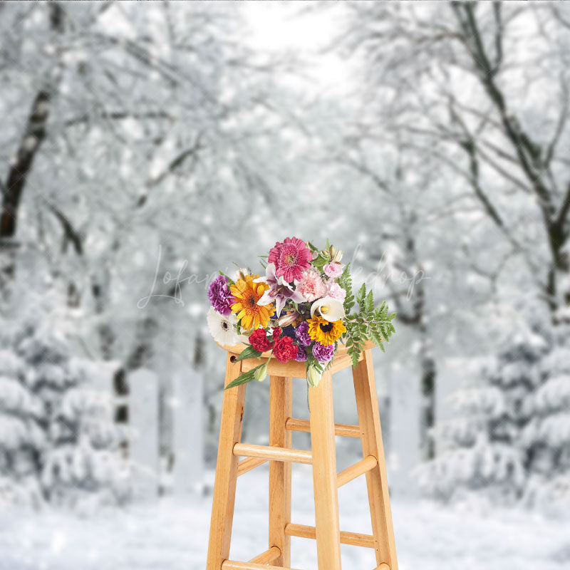 Lofaris Winter Snow Forest Photography Backdrop White Gate to an Enchanted Woods Magical Holiday Photo Background
