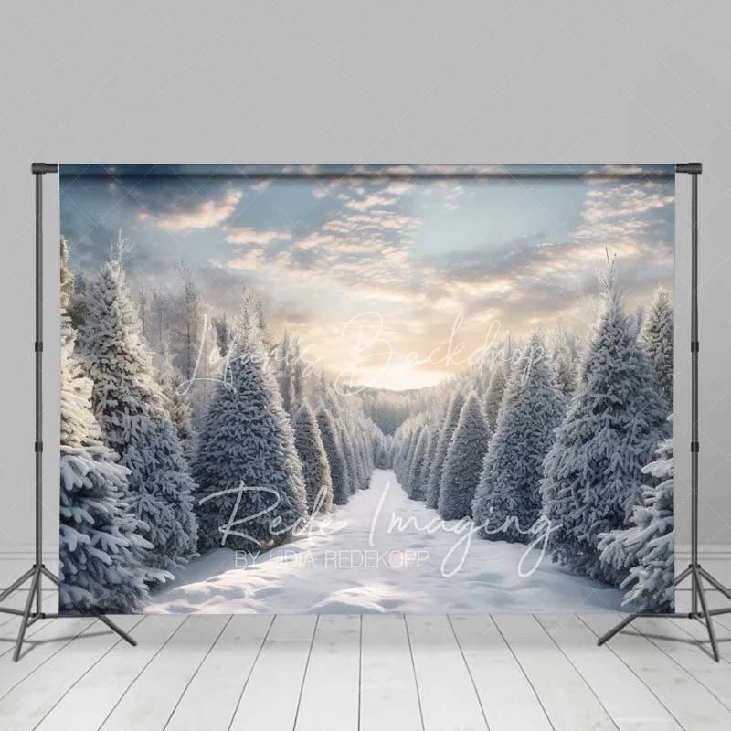 Lofaris Winter Wonderland Backdrop Snowy Pine Forest Path Sunset Sky Nature Photo Background