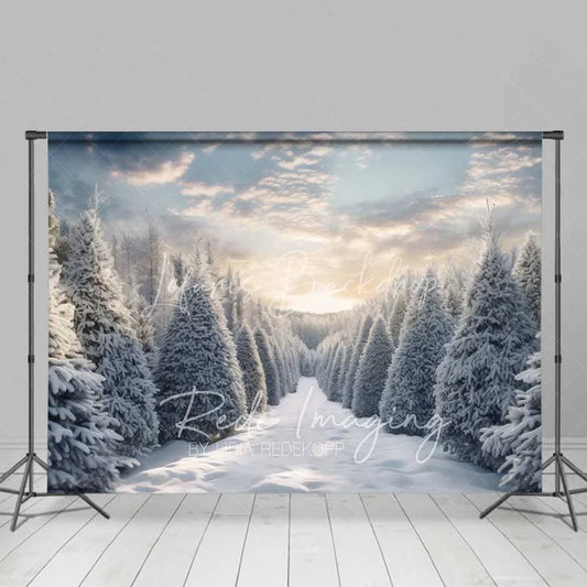 Lofaris Winter Wonderland Backdrop Snowy Pine Forest Path Sunset Sky Nature Photo Background