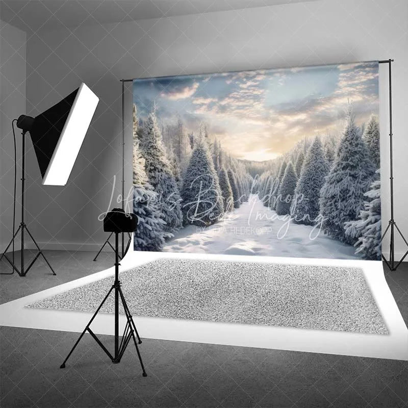 Lofaris Winter Wonderland Backdrop Snowy Pine Forest Path Sunset Sky Nature Photo Background