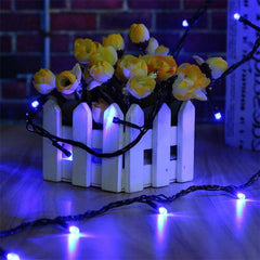 Lofaris Long Bright LED String Lights For Party Decoration