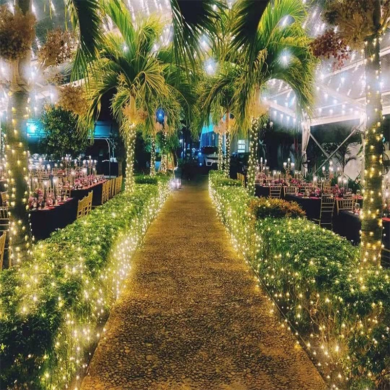 Lofaris Long Bright LED String Lights For Party Decoration