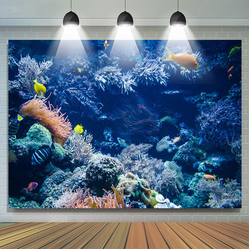 Lofaris Marine Coral Reefs Underwater Summer Background