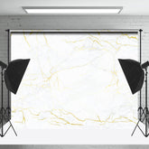 Lofaris Modern White Gold Marble Texture Backdrop For Photo