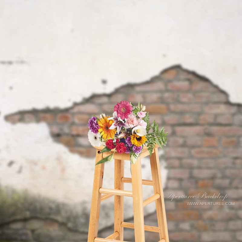 Lofaris Old Clay Faded Cracked Paint Brick Photo Backdrop