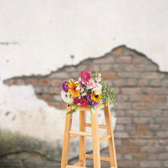 Lofaris Old Clay Faded Cracked Paint Brick Photo Backdrop