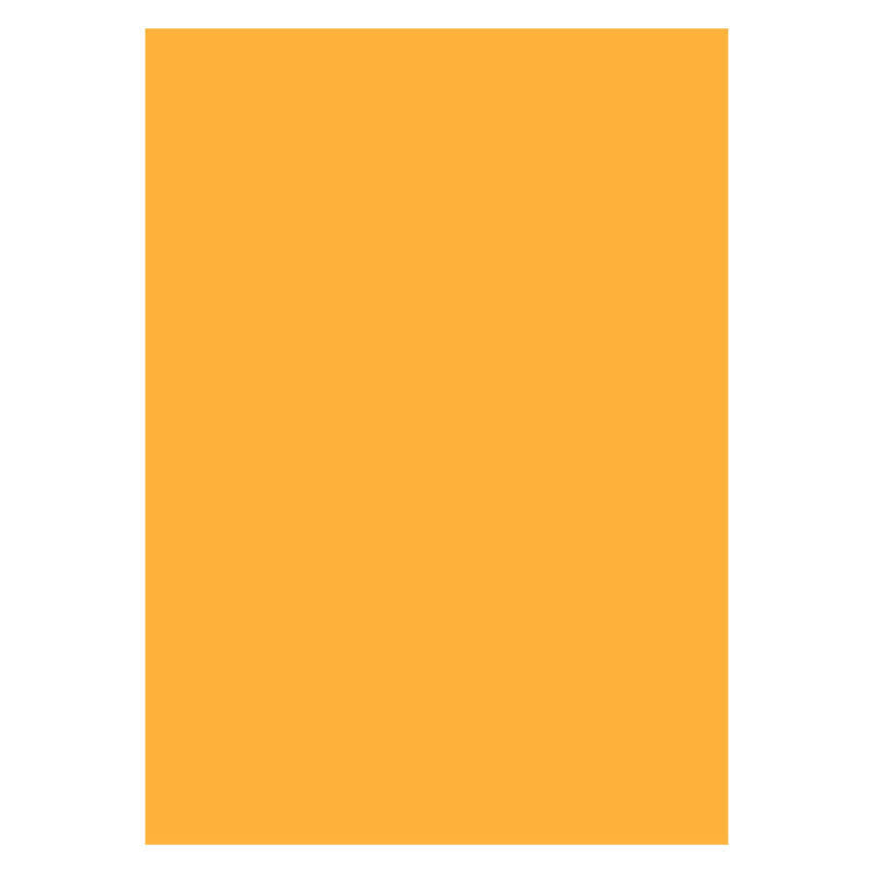 Lofaris Orange Solid Color Portrait Photo Studio Backdrop