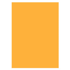 Lofaris Orange Solid Color Portrait Photo Studio Backdrop