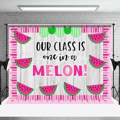 Lofaris Our Class Is One In A Melon Pink Summer Backdrop