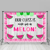 Lofaris Our Class Is One In A Melon Pink Summer Backdrop