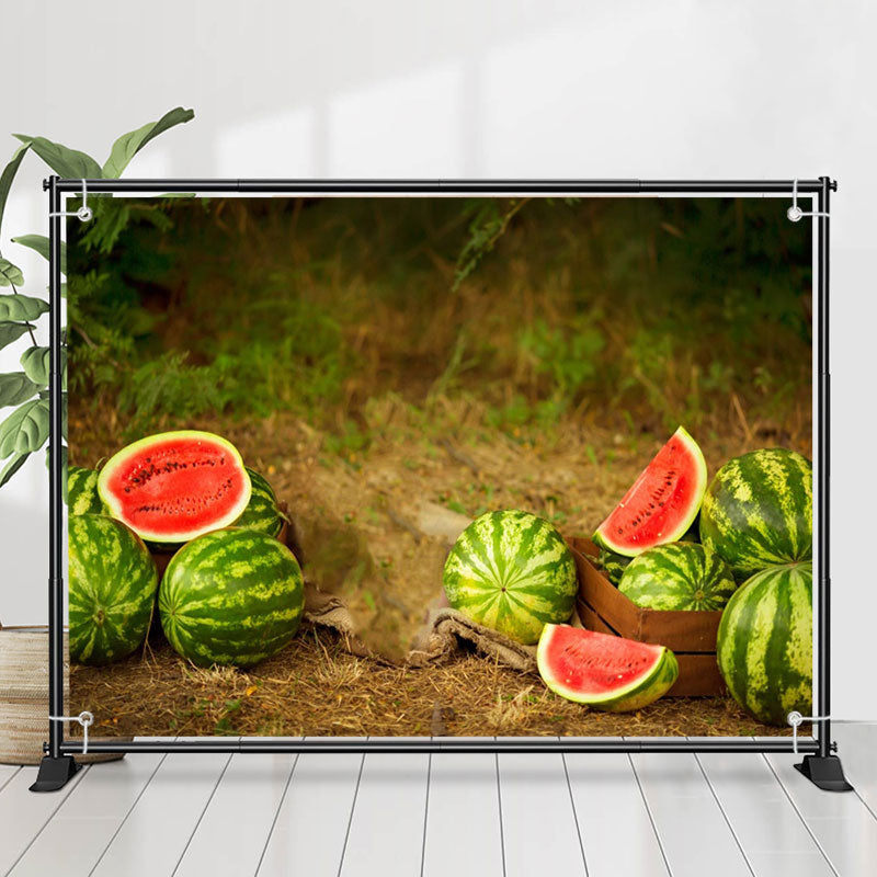 Lofaris Pastoral Watermelon Farmland Fruits Summer Backdrop