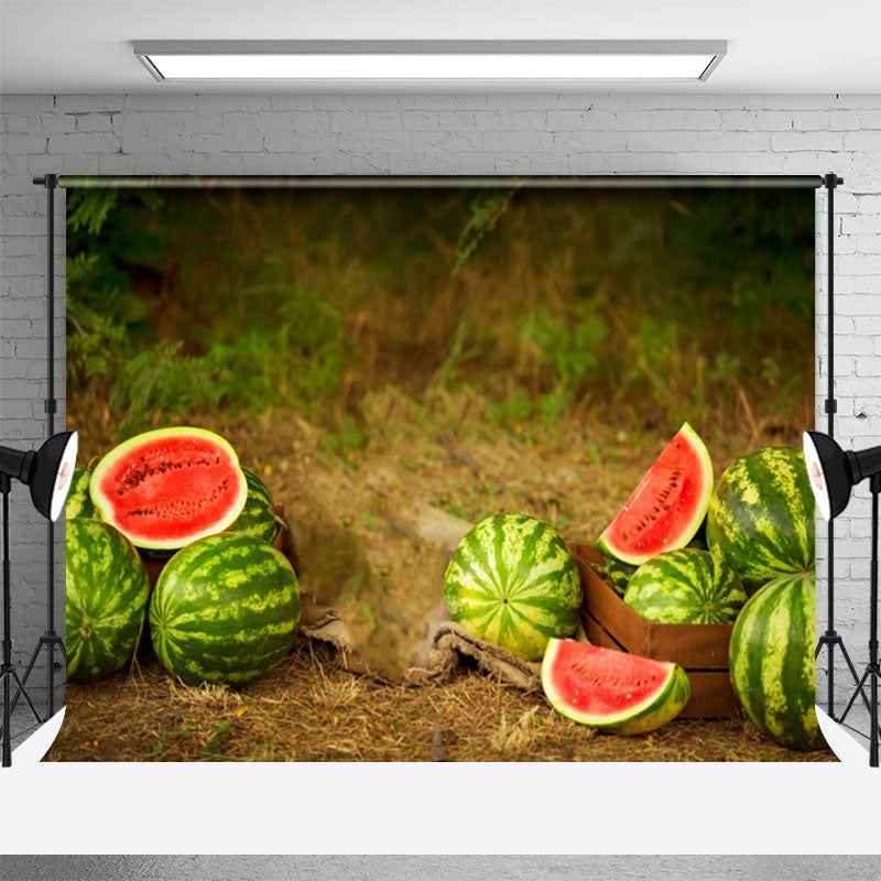 Lofaris Pastoral Watermelon Farmland Fruits Summer Backdrop