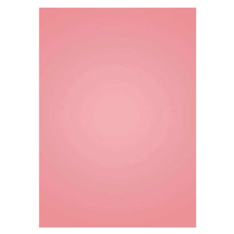 Lofaris Peach Pink Baby Girl Shoot Studio Solid Backdrop