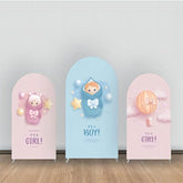 Lofaris Pink And Blue Baby Gender Reveal Arch Backdrop Kit
