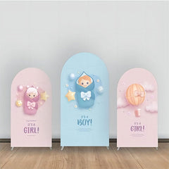 Lofaris Pink And Blue Baby Gender Reveal Arch Backdrop Kit