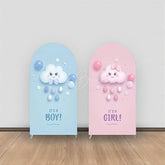 Lofaris Pink Blue Rainy Cloud Ball Baby Shower Arch Backdrop