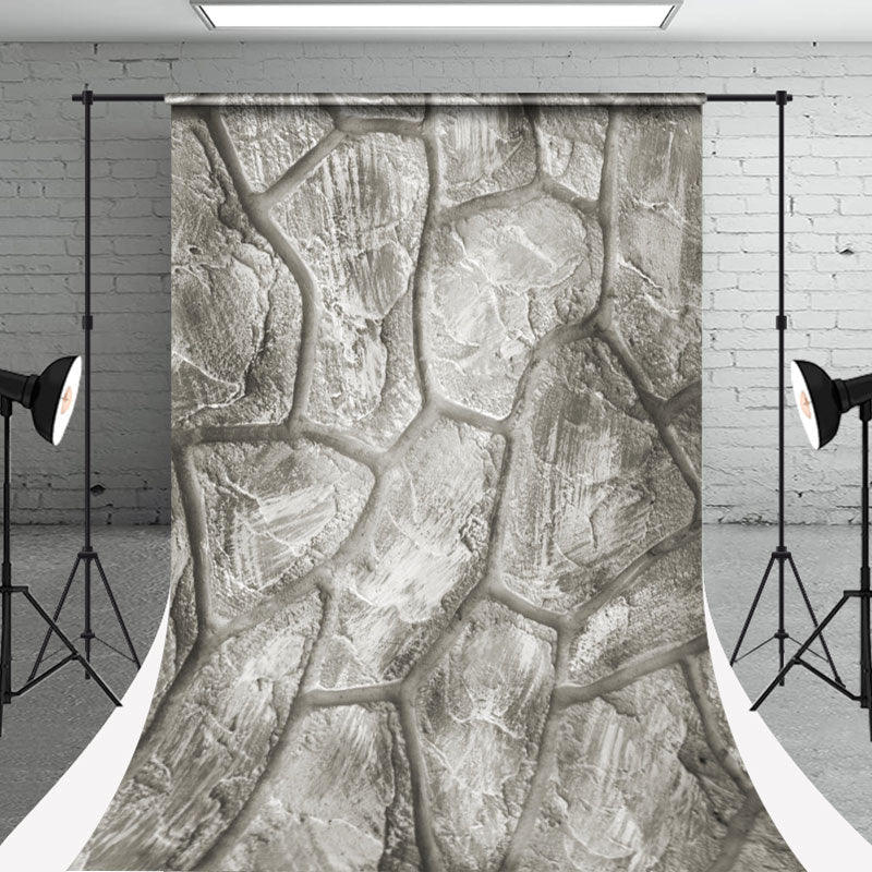Lofaris Retro Irregular Stone Road Texture Sweep Backdrop