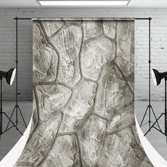 Lofaris Retro Irregular Stone Road Texture Sweep Backdrop
