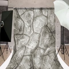 Lofaris Retro Irregular Stone Road Texture Sweep Backdrop