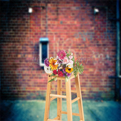 Lofaris Retro Red Graffiti Brick Wall Street Photo Backdrop