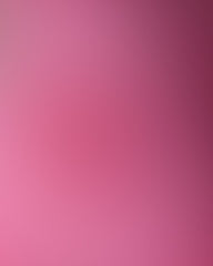 Lofaris Roseate Gradient Color Professional Photo Backdrop