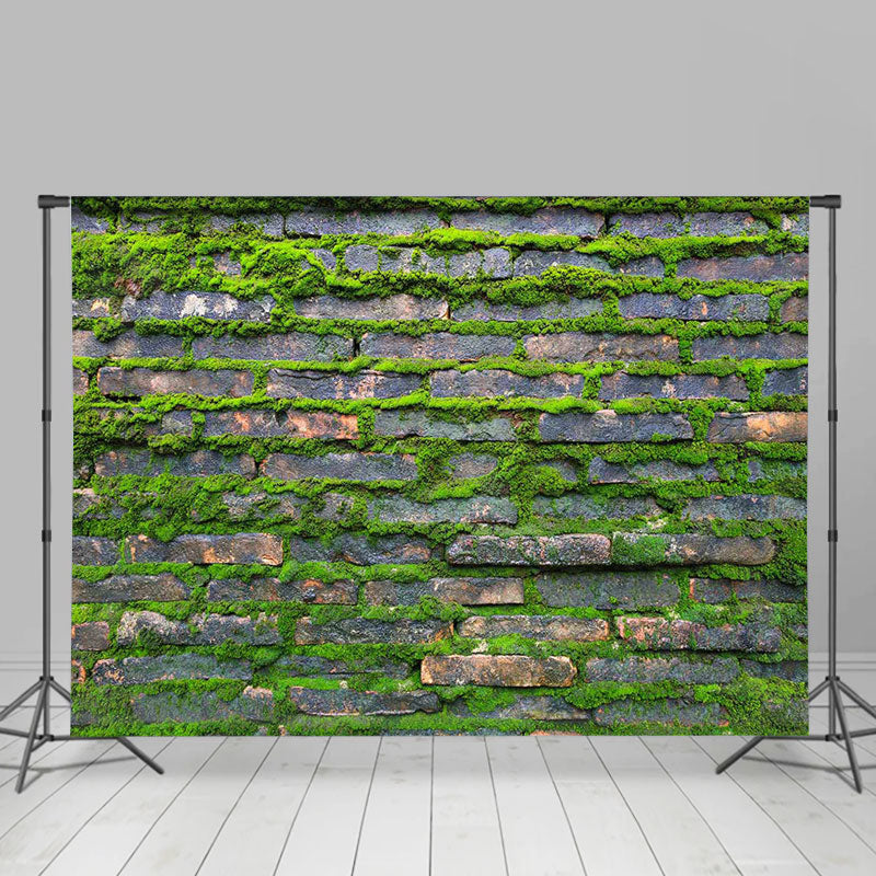 Rural Green Mossy Brick Wall Photoshoot Backdrop Lofaris