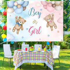 Lofaris (Ship In 24HR) Pink Blue Bear Boy Or Girl Baby Shower Backdrop