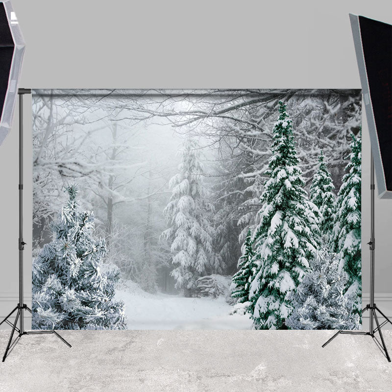 Lofaris Snowy Forest Unmanned Fog Winter Photo Backdrops