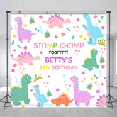 Lofaris Stomp Chomp Dinosaur Custom 3rd Birthday Backdrop