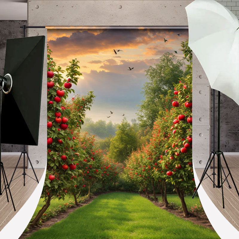 Lofaris Sunset Birds Spring Greenery Orchard Sweep Backdrop