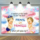 Lofaris Sweet Baby Pink Blue Cloud Gender Reveal Backdrop