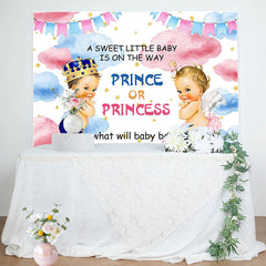 Lofaris Sweet Baby Pink Blue Cloud Gender Reveal Backdrop