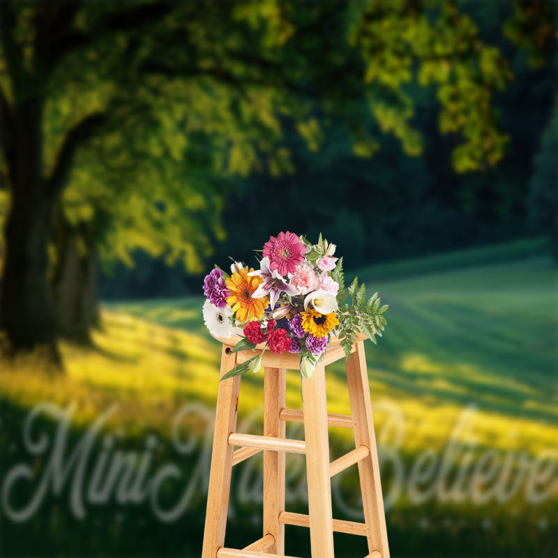 Lofaris Trees Light Shadow Field Forest Photoshoot Backdrop