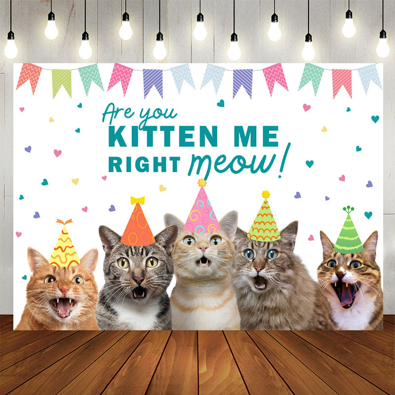 Lofaris Are You Kitten Me Right Meow Cats Birthday Backdrop