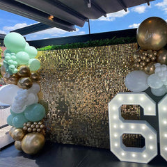 Lofaris Amzaing Party Favor Shimmer Wall Panel Sequins Backdrop for Birthday Baby Shower